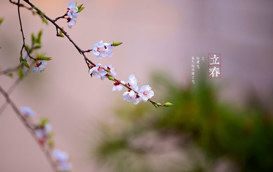 《吟咏二十四节气》作者：凌霞珍（图3）