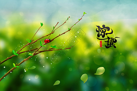 《吟咏二十四节气》作者：凌霞珍（图5）