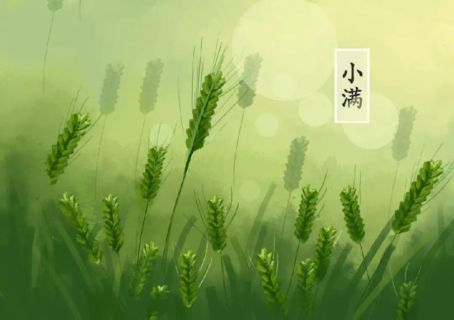 《吟咏二十四节气》作者:凌霞珍(图10)