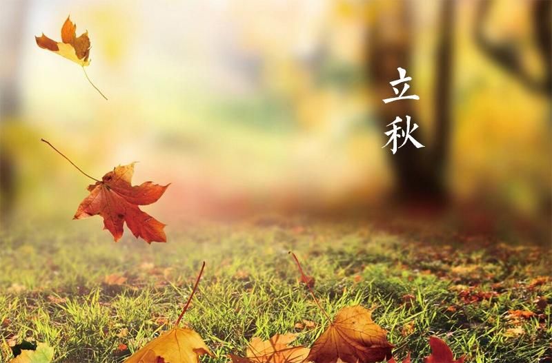 《吟咏二十四节气》作者：凌霞珍（图15）