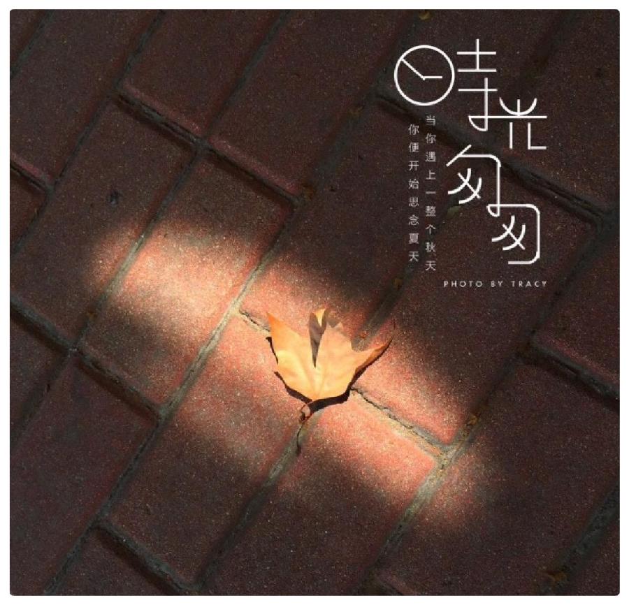 婧暄诗歌《老去》作品选登∥文·诵 婧暄（图4）