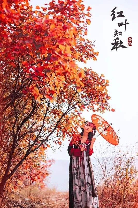 【枫雅汇看图约诗】第257期《秋鸿遥寄相思远》(图6)