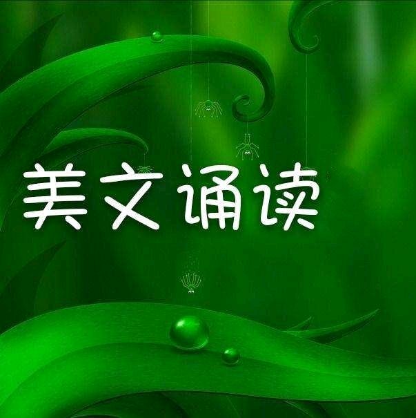 《风将经过秋天，也将经过你》作者:谭昌永【主播:长弓雅士】用声音传递温暖 以朗诵致敬人生♬（图11）