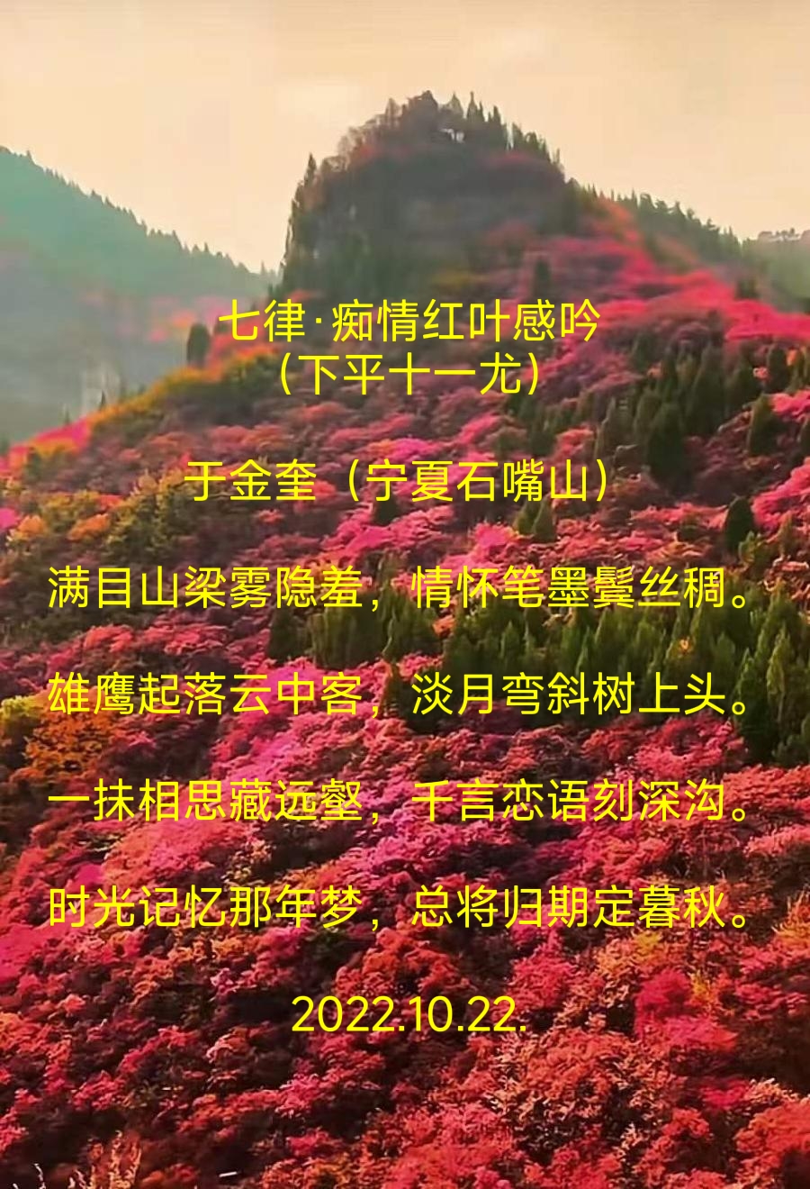 诗人于金奎:七律·痴情红叶感吟（下平十一尤）（图7）