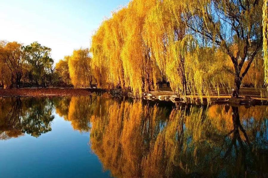 中华诗艺社九江分社·格律诗词精品鉴赏(合辑)第1537期(图81)