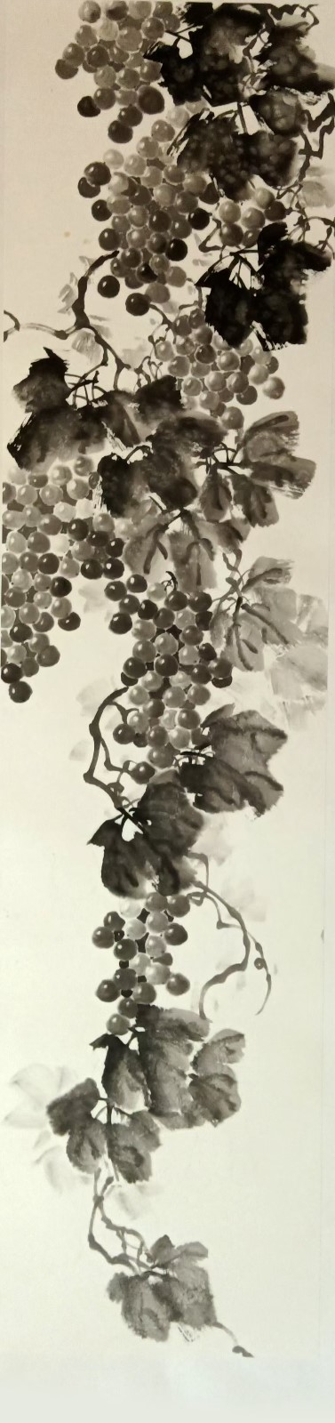155804190.jpg