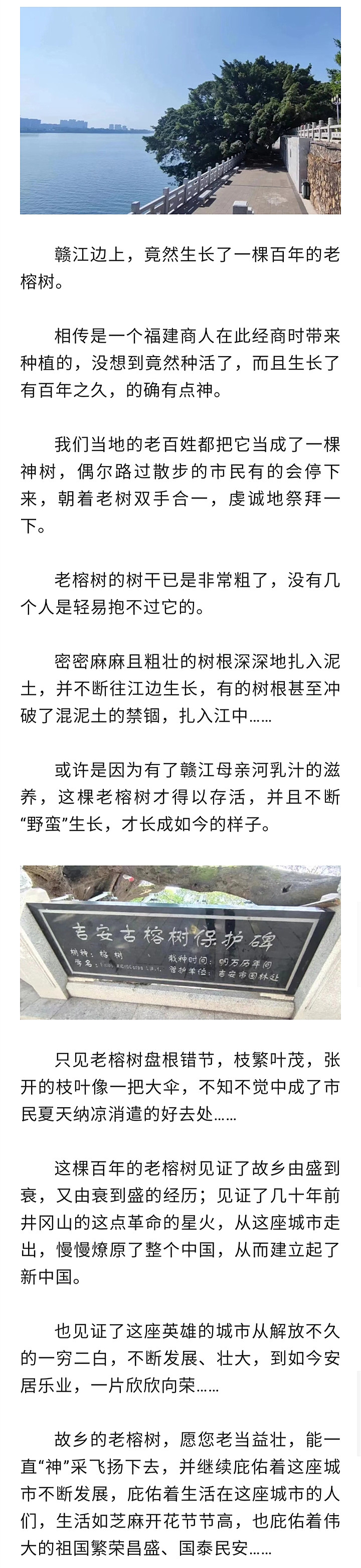 寰俊鍥剧墖_20221022190218.jpg