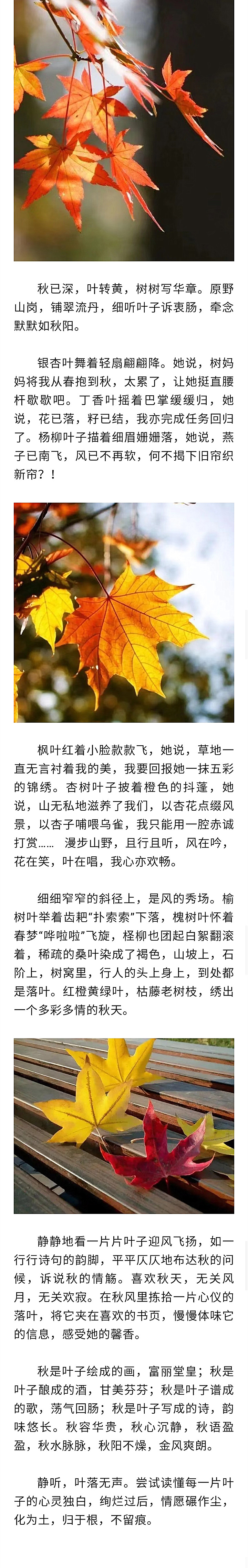 寰俊鍥剧墖_20221022190815.jpg