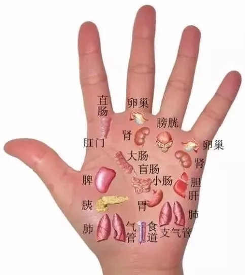 双手麻是淤堵经络不通（图2）