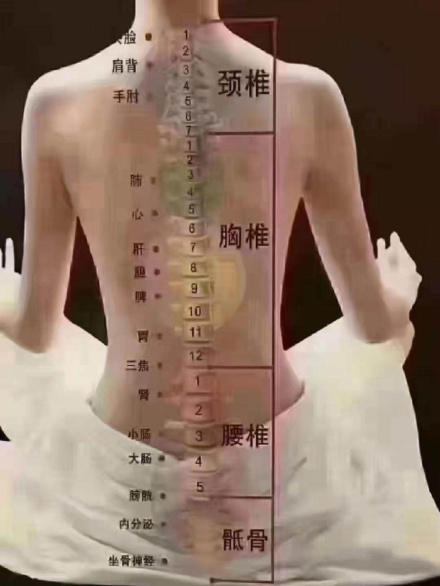 双手麻是淤堵经络不通（图6）