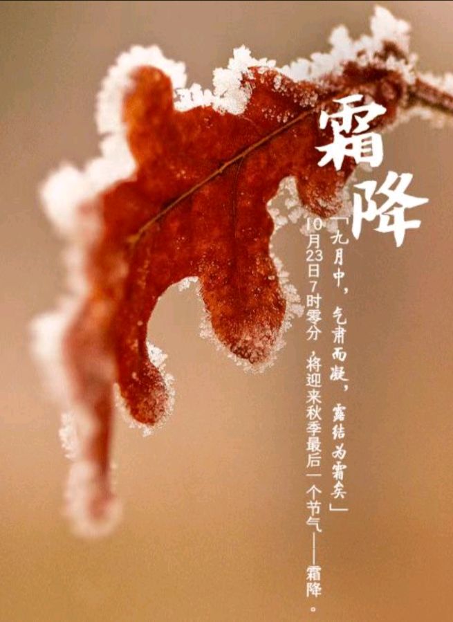 〖锦园生活·纪事〗〔选編之二〕