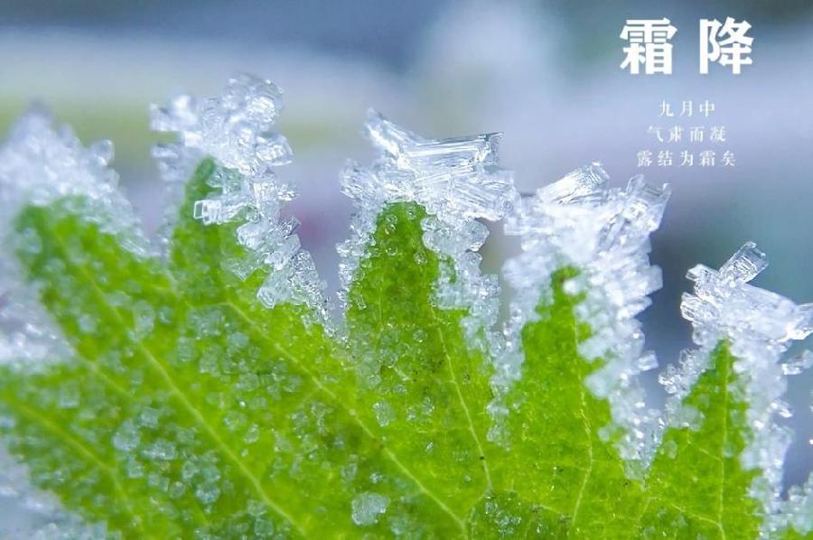 【北京头条】分享胡清普《霜降疫情复染感怀》（图4）