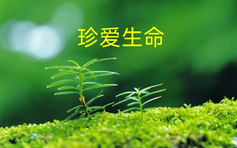 中华诗艺社黑龙江分社推介/张温:白莲(外九首)（图9）