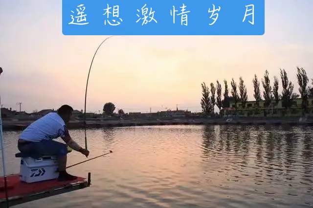 中华诗艺社黑龙江分社推介/雪莹:又是重阳(外四首)（图5）