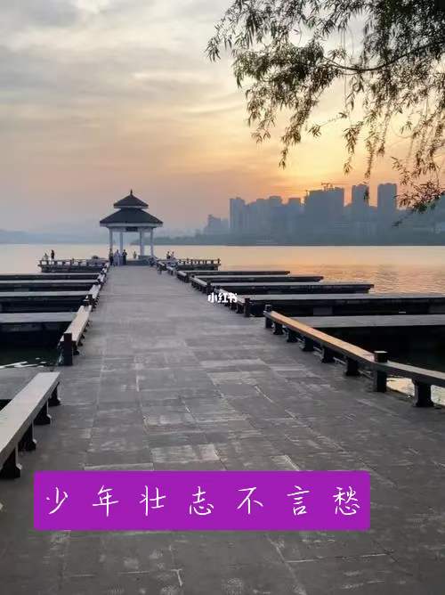 中华诗艺社黑龙江分社推介/雪莹:又是重阳(外四首)（图6）