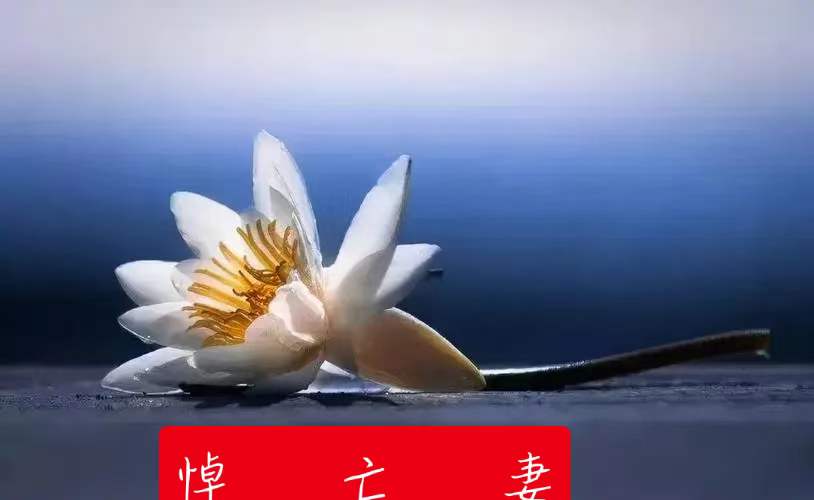 中华诗艺社黑龙江分社推介/雪莹:又是重阳(外四首)（图8）