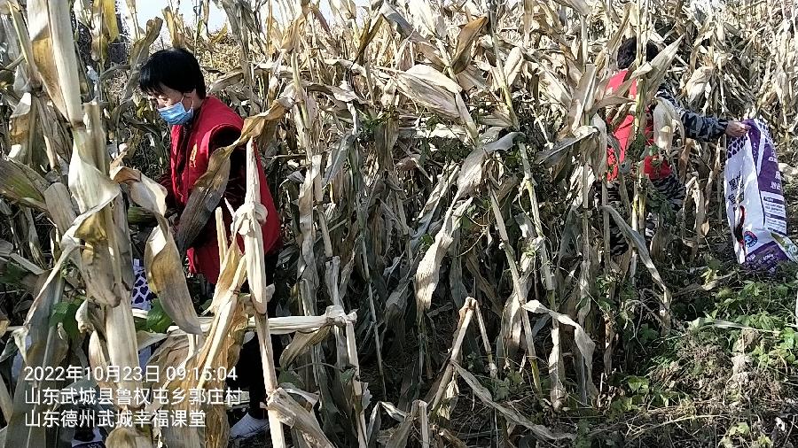 忙秋收有困难 志愿者这样做（图5）