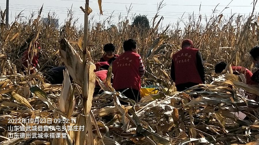 忙秋收有困难 志愿者这样做（图4）