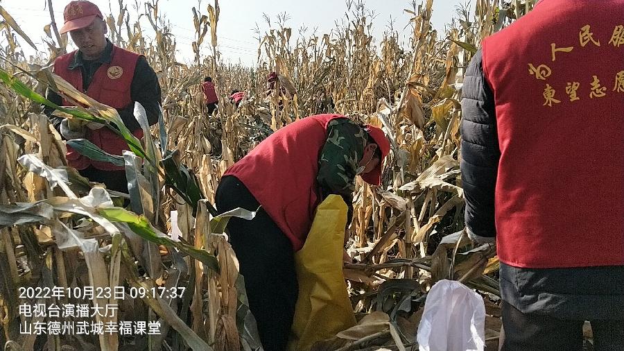 忙秋收有困难 志愿者这样做（图3）