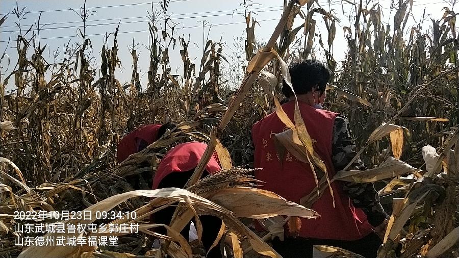 忙秋收有困难 志愿者这样做（图2）