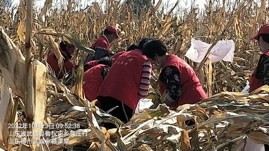 忙秋收有困难 志愿者这样做