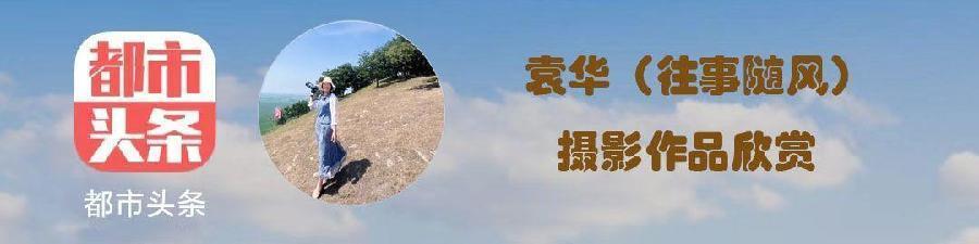 中华诗艺社黑龙江分社【摄影】/袁华摄影:秋色（图3）