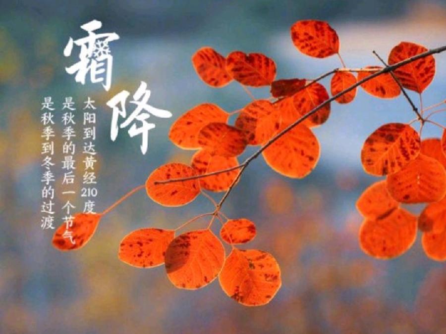 《洪新爱社长作品选登》《九江文学社：北京头条》《霜降节气组诗》（图4）