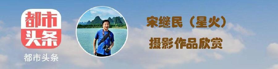 中华诗艺社黑龙江分社推介/宋继民:驿马山上好风光(图3)