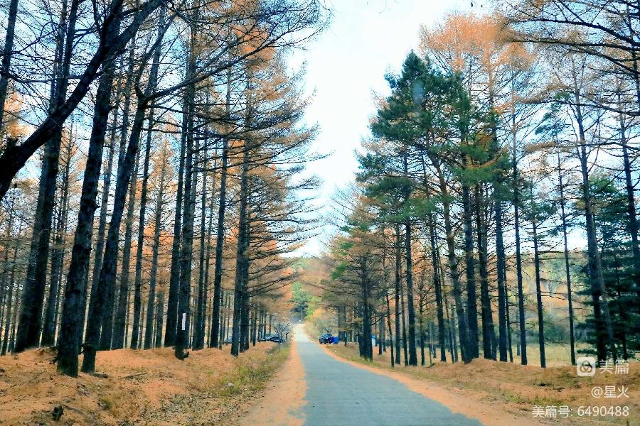中华诗艺社黑龙江分社推介/宋继民:驿马山上好风光(图32)