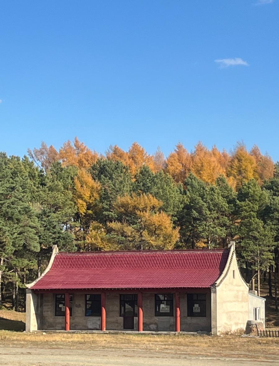 中华诗艺社黑龙江分社【摄影】/袁华摄影:秋色（图6）