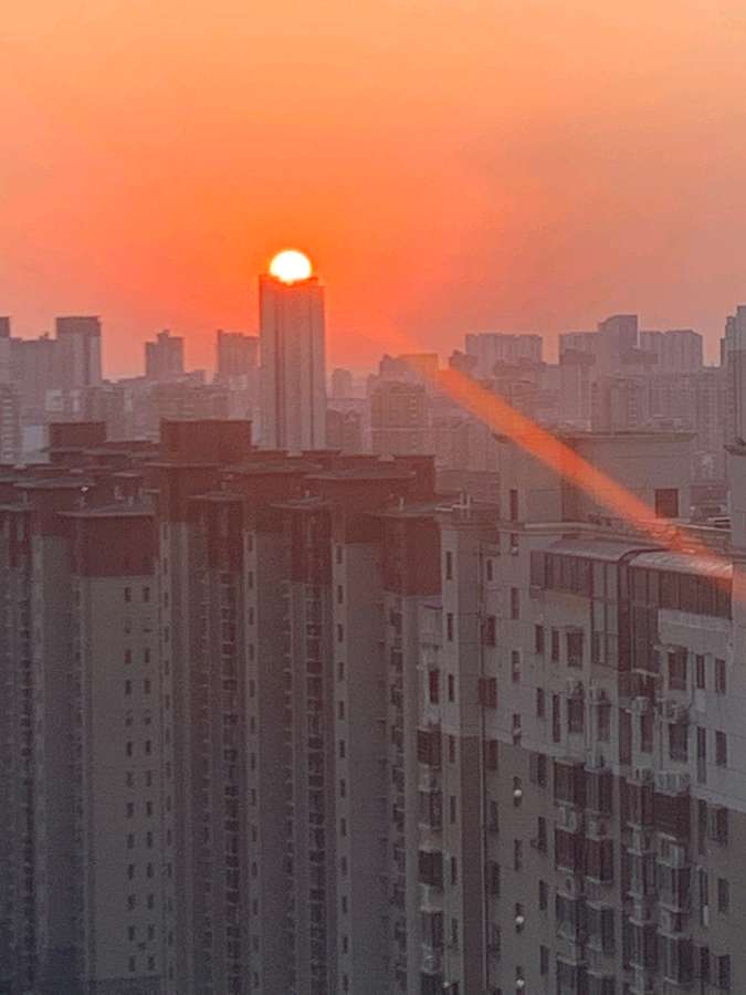 点赞英明领路人