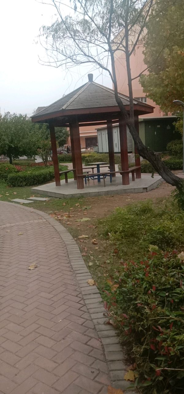 点赞英明领路人(图4)