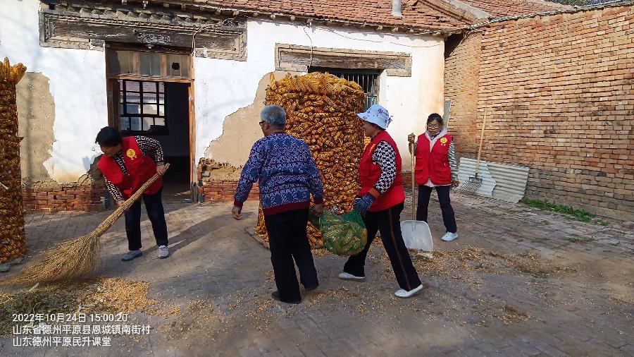 志愿助老干实事 收占玉米保丰收（图5）