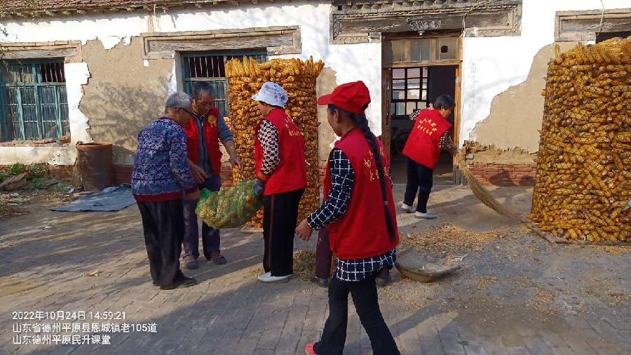 志愿助老干实事 收占玉米保丰收（图6）