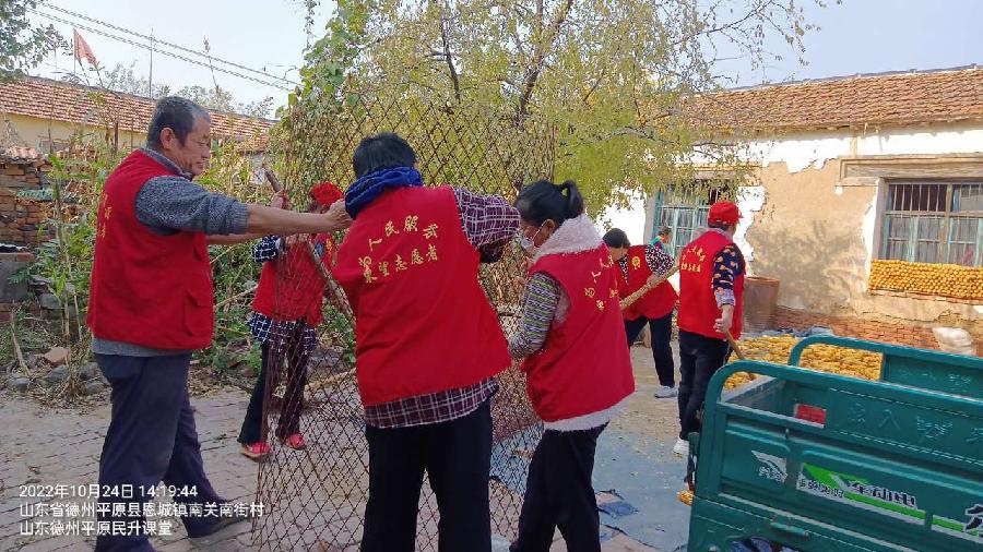 志愿助老干实事 收占玉米保丰收