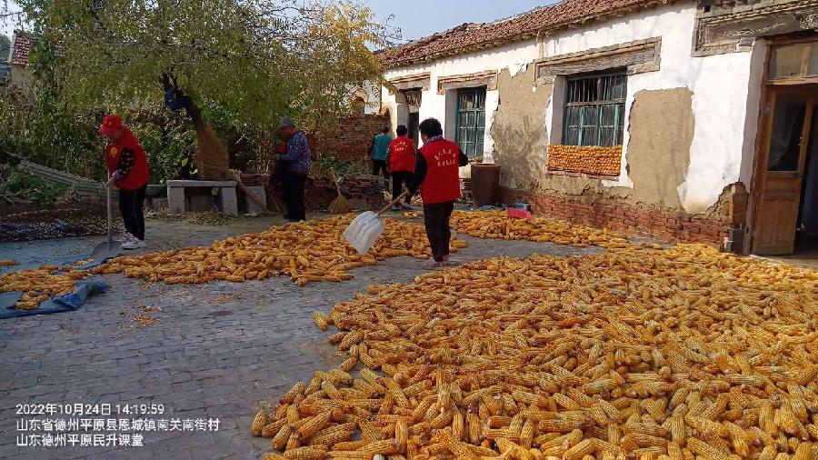 志愿助老干实事 收占玉米保丰收（图2）
