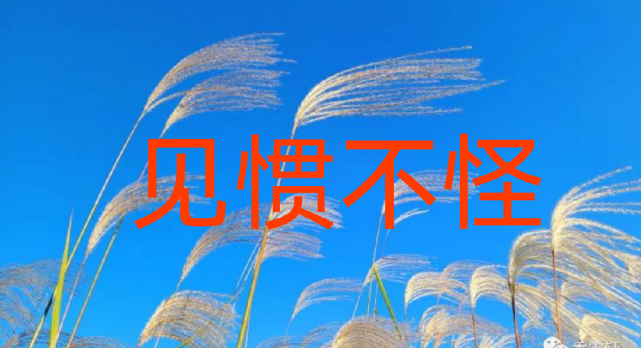 【都】（图3）