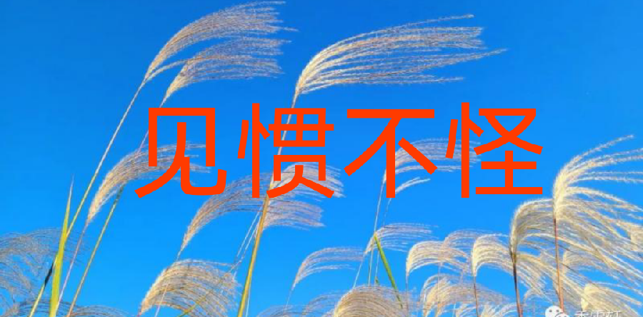 【北京头条】分享优秀诗人方亮老师《见惯不怪》请欣赏（图4）