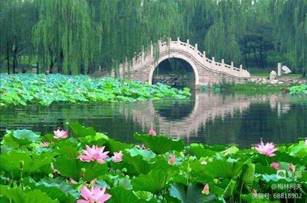 《咏秋十首》作者：王振华（图4）