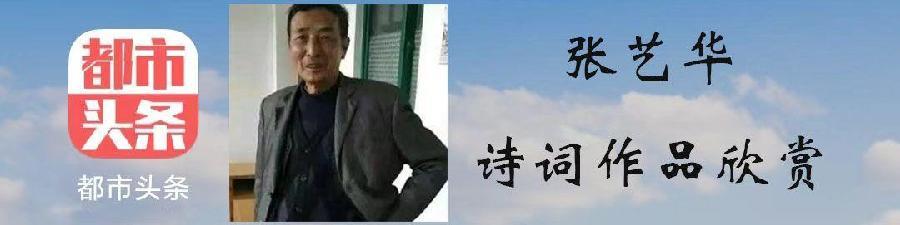 中华诗艺社黑龙江分社推介/张艺华:初秋浅吟(外三首)(图3)