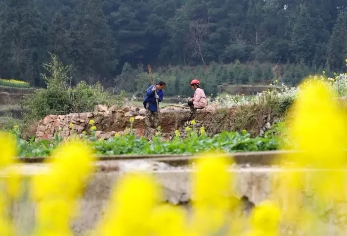 【新诗大观】手遮挡的光（外三首）||文/王东明（图3）