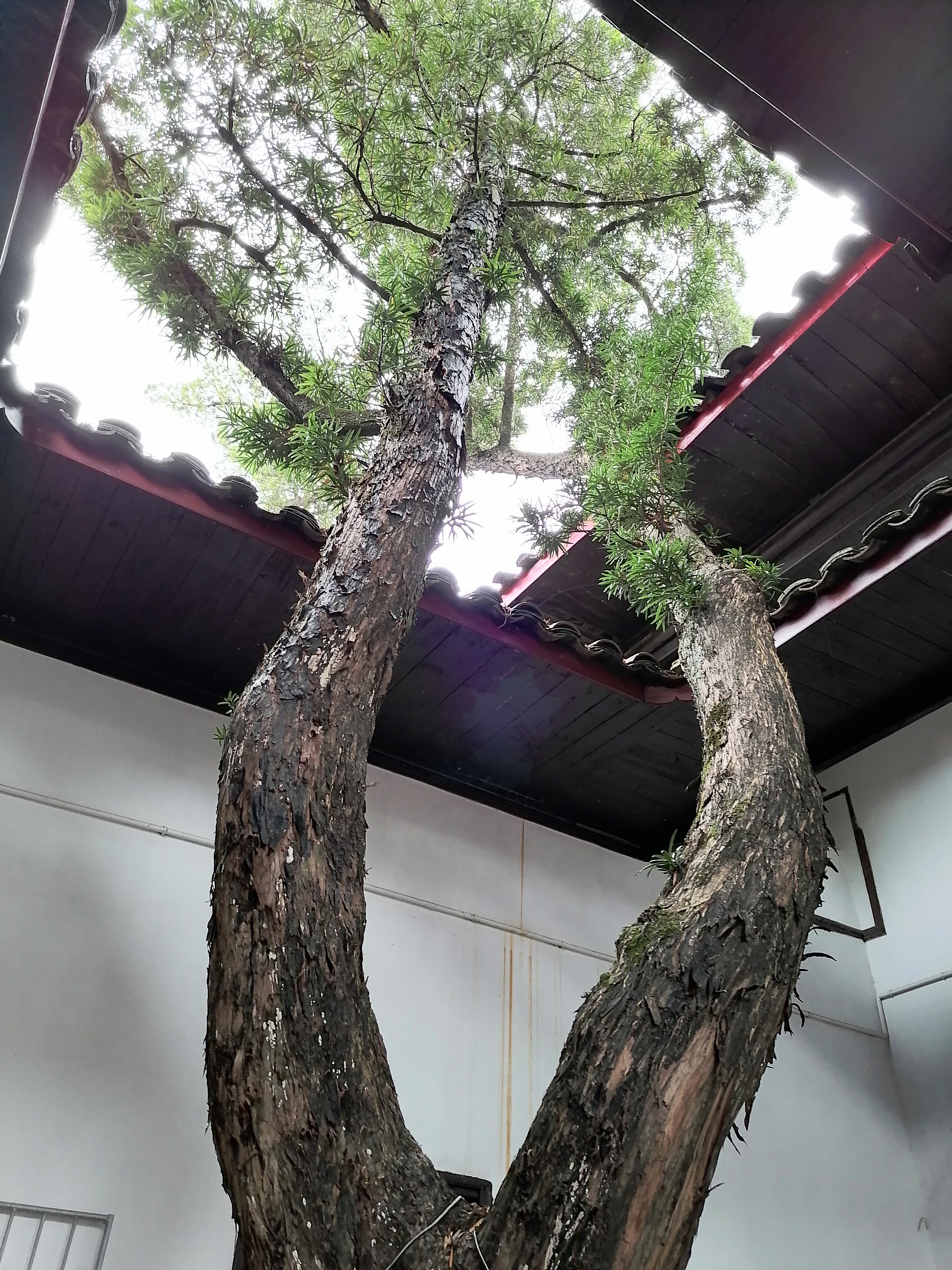 寰俊鍥剧墖_20221025112130.jpg