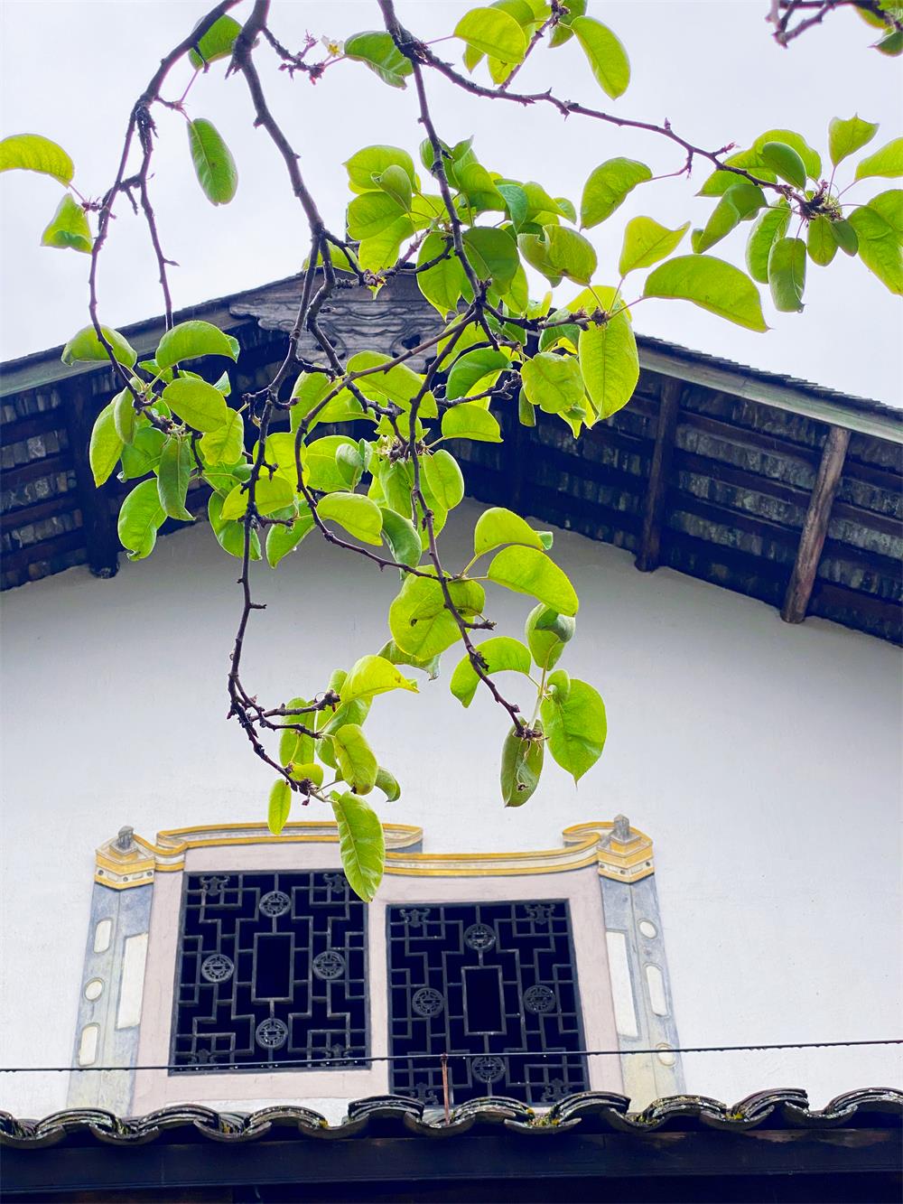 寰俊鍥剧墖_20221025112114.jpg