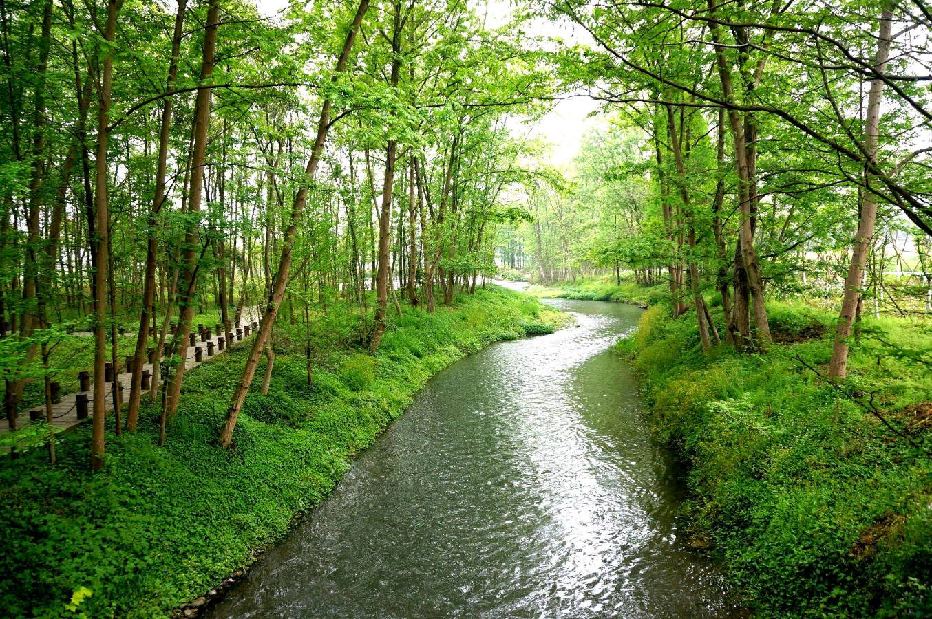 那条小河 作者：北斗 朗诵：陈群 京津沪头条（图2）