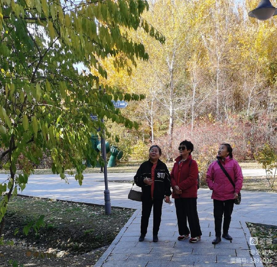 张健夫:柳荡金风苇放香 学朋喜聚赏秋光(图8)