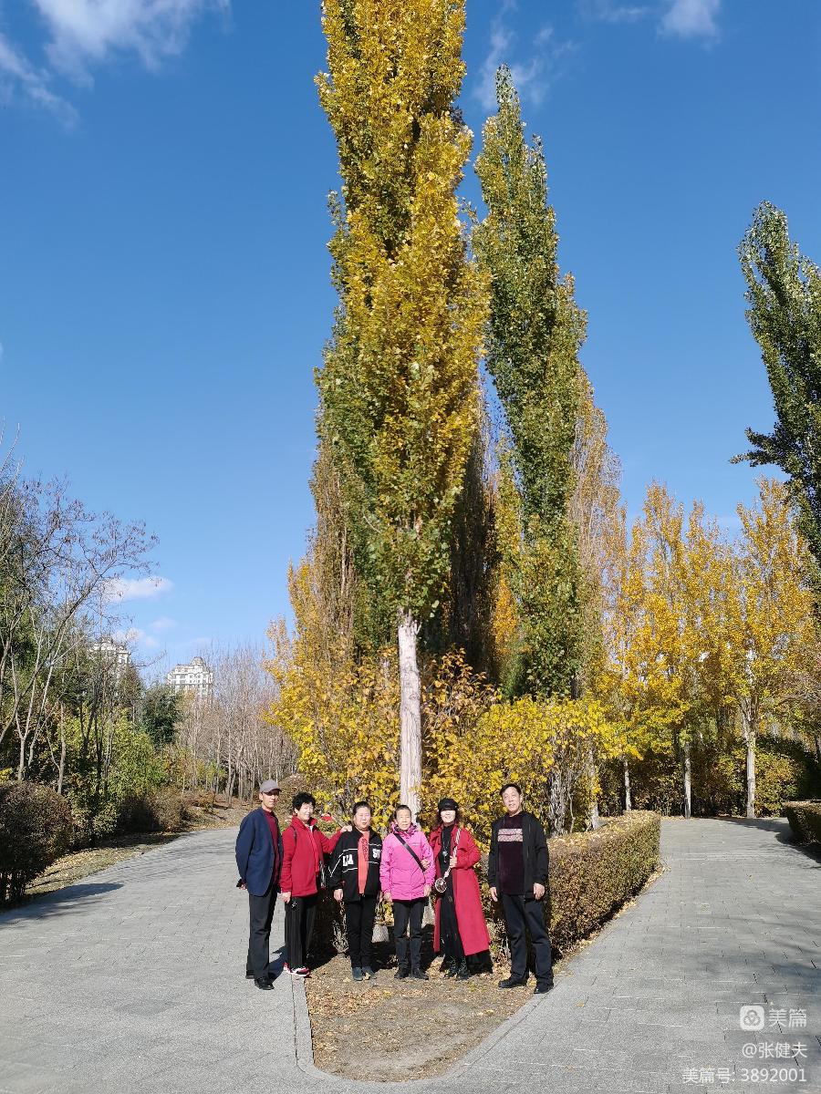 张健夫:柳荡金风苇放香 学朋喜聚赏秋光(图9)