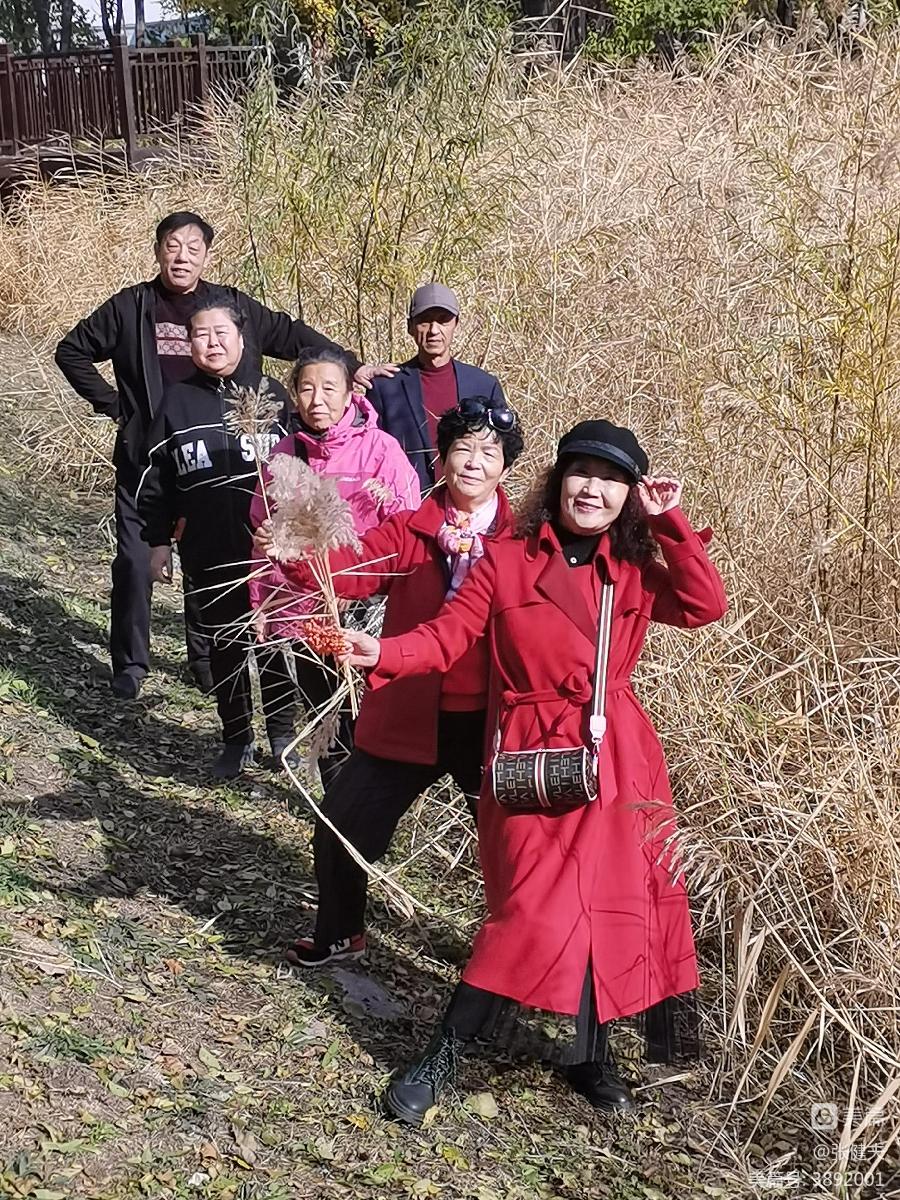 张健夫:柳荡金风苇放香 学朋喜聚赏秋光(图12)