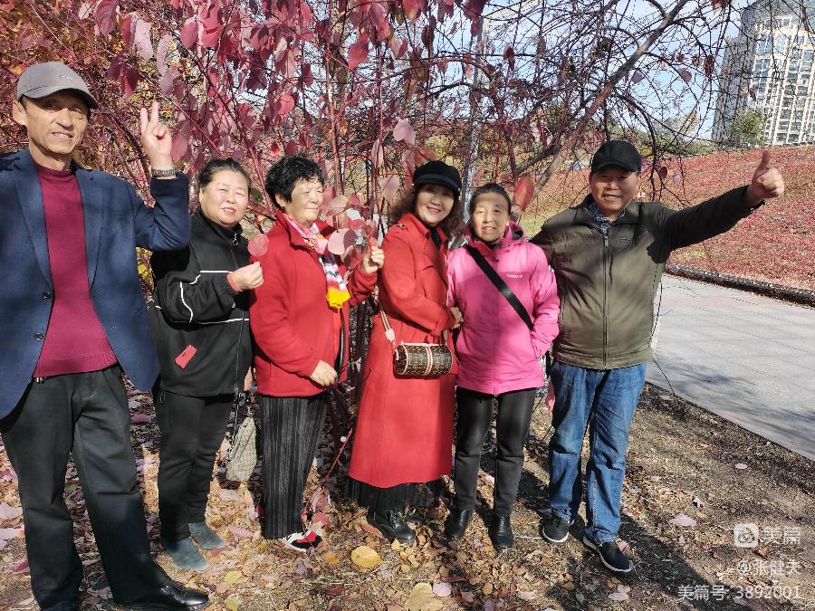 张健夫:柳荡金风苇放香 学朋喜聚赏秋光(图13)