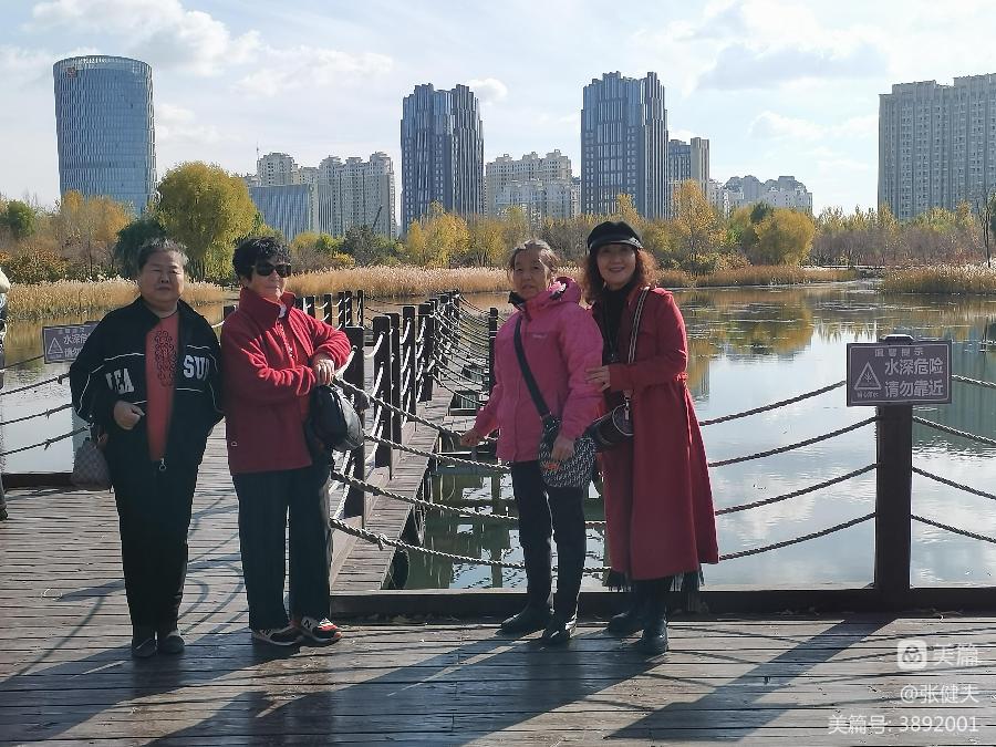 张健夫:柳荡金风苇放香 学朋喜聚赏秋光(图17)