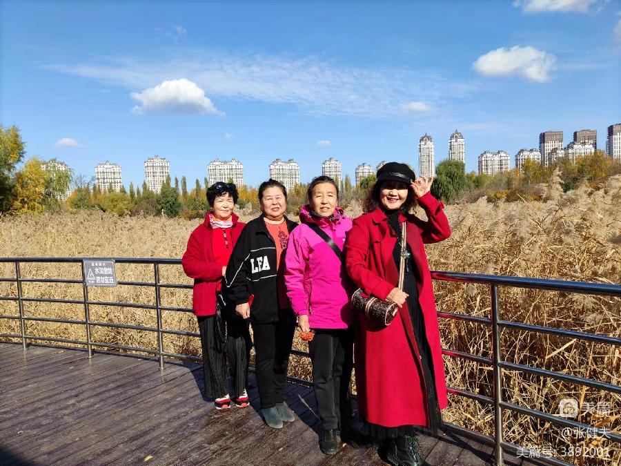 张健夫:柳荡金风苇放香 学朋喜聚赏秋光(图20)